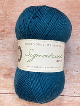 Load image into Gallery viewer, WYS Signature 4 ply Sock Yarn
