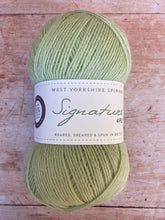 Load image into Gallery viewer, WYS Signature 4 ply Sock Yarn