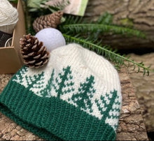 Load image into Gallery viewer, Pine & Snow Beanie Kit - Northern Yarn