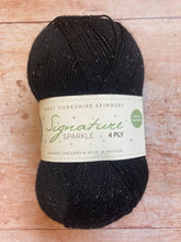 Load image into Gallery viewer, WYS Signature 4 ply Sock Yarn