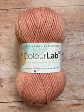 Load image into Gallery viewer, WYS Colour Lab DK