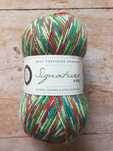 Load image into Gallery viewer, WYS Signature 4 ply Sock Yarn