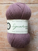 Load image into Gallery viewer, WYS Signature 4 ply Sock Yarn