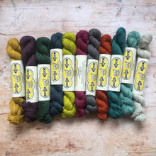 Load image into Gallery viewer, John Arbon - Exmoor Sock Yarn