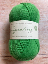Load image into Gallery viewer, WYS Signature 4 ply Sock Yarn