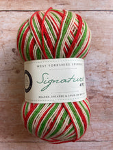 Load image into Gallery viewer, WYS Signature 4 ply Sock Yarn