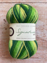 Load image into Gallery viewer, WYS Signature 4 ply Sock Yarn