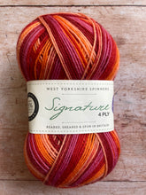 Load image into Gallery viewer, WYS Signature 4 ply Sock Yarn