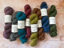 Load image into Gallery viewer, WYS Bluefaced Leicester DK