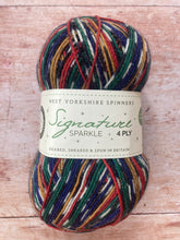 Load image into Gallery viewer, WYS Signature 4 ply Sock Yarn