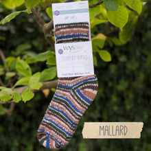 Load image into Gallery viewer, WYS - Ready Knit Socks