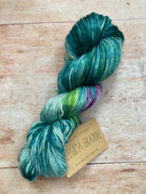 Load image into Gallery viewer, Manos del Uruguay - Alegria Grande (worsted)