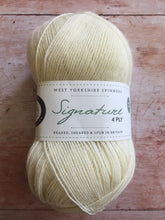 Load image into Gallery viewer, WYS Signature 4 ply Sock Yarn
