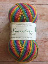 Load image into Gallery viewer, WYS Signature 4 ply Sock Yarn