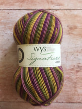 Load image into Gallery viewer, WYS Signature 4 ply Sock Yarn