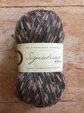 Load image into Gallery viewer, WYS Signature 4 ply Sock Yarn
