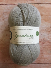 Load image into Gallery viewer, WYS Signature 4 ply Sock Yarn