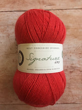 Load image into Gallery viewer, WYS Signature 4 ply Sock Yarn