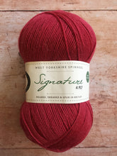 Load image into Gallery viewer, WYS Signature 4 ply Sock Yarn
