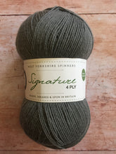 Load image into Gallery viewer, WYS Signature 4 ply Sock Yarn