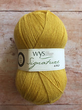 Load image into Gallery viewer, WYS Signature 4 ply Sock Yarn