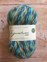 Load image into Gallery viewer, WYS Signature 4 ply Sock Yarn