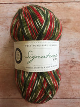 Load image into Gallery viewer, WYS Signature 4 ply Sock Yarn