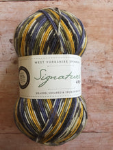 Load image into Gallery viewer, WYS Signature 4 ply Sock Yarn