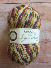 Load image into Gallery viewer, WYS Signature 4 ply Sock Yarn