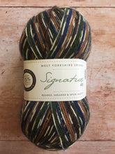 Load image into Gallery viewer, WYS Signature 4 ply Sock Yarn