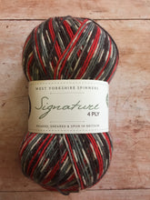 Load image into Gallery viewer, WYS Signature 4 ply Sock Yarn