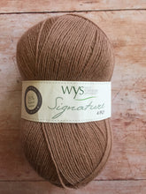 Load image into Gallery viewer, WYS Signature 4 ply Sock Yarn
