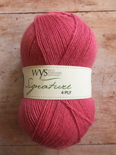 Load image into Gallery viewer, WYS Signature 4 ply Sock Yarn