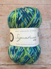 Load image into Gallery viewer, WYS Signature 4 ply Sock Yarn