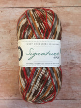 Load image into Gallery viewer, WYS Signature 4 ply Sock Yarn