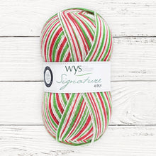 Load image into Gallery viewer, WYS Signature 4 ply Sock Yarn