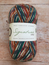 Load image into Gallery viewer, WYS Signature 4 ply Sock Yarn