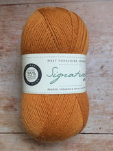 Load image into Gallery viewer, WYS Signature 4 ply Sock Yarn