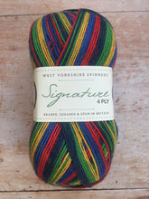 Load image into Gallery viewer, WYS Signature 4 ply Sock Yarn