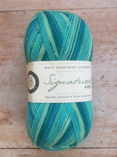 Load image into Gallery viewer, WYS Signature 4 ply Sock Yarn