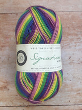 Load image into Gallery viewer, WYS Signature 4 ply Sock Yarn