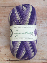 Load image into Gallery viewer, WYS Signature 4 ply Sock Yarn