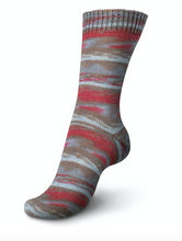 Load image into Gallery viewer, Regia - Colour & Design Line (Arne & Carlos) - 4 ply Sock Yarn