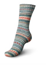 Load image into Gallery viewer, Regia - Design Line by Arne & Carlos - 6 ply Sock Yarn