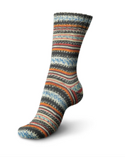 Load image into Gallery viewer, Regia - Design Line by Arne & Carlos - 6 ply Sock Yarn