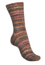 Load image into Gallery viewer, Regia - Colour Sock Yarn 4 ply