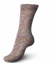 Load image into Gallery viewer, Regia - Colour Sock Yarn 4 ply