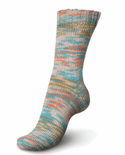 Load image into Gallery viewer, Regia - 6 ply Sock Yarn