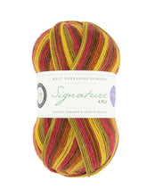 Load image into Gallery viewer, WYS Signature 4 ply Sock Yarn