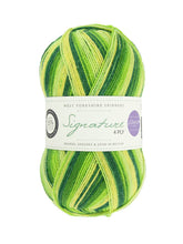 Load image into Gallery viewer, WYS Signature 4 ply Sock Yarn